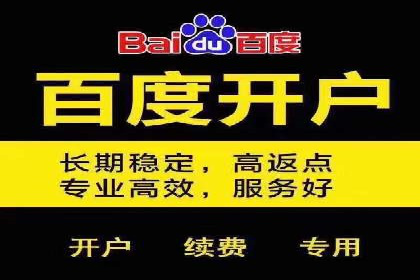 案例分析：百度竞价托管外包助力品牌崛起